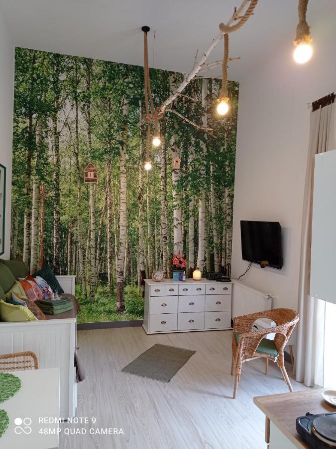 Studio Lesne 卢布涅维采 外观 照片