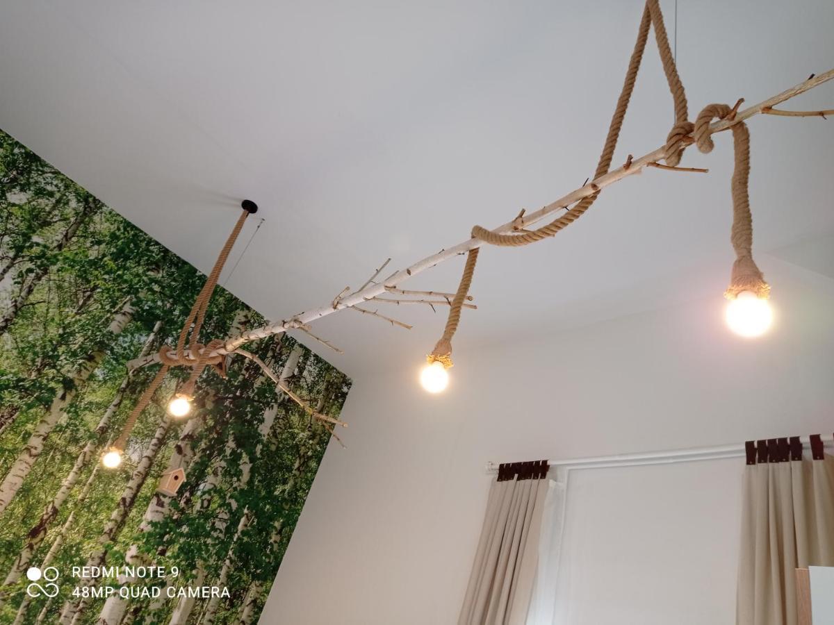 Studio Lesne 卢布涅维采 外观 照片